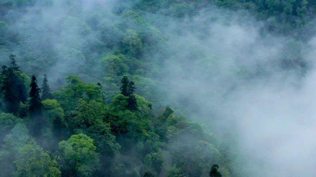 美国经济不一定“软着陆”？瑞穗已提前未雨绸缪